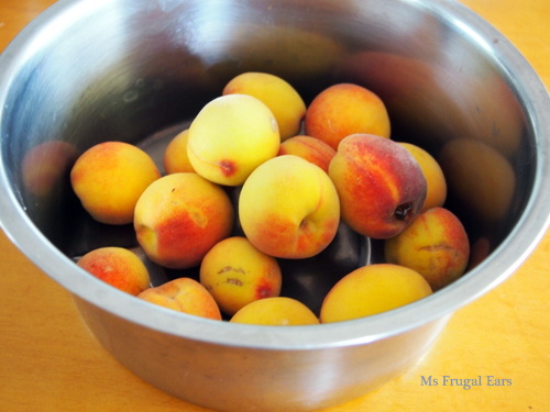 A metal bowl of homegrown peaches
